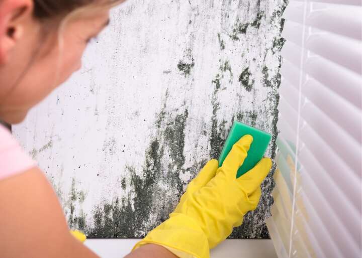 Mold Inspection San Diego