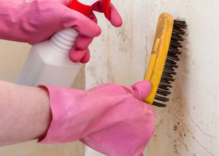 Mold Inspection San Diego