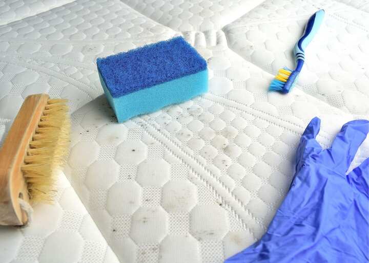 Mold Inspection San Diego