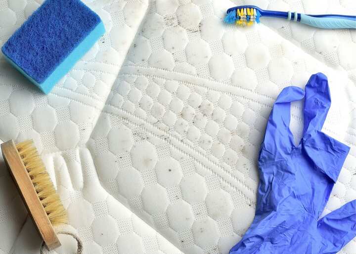 Mold Inspection San Diego