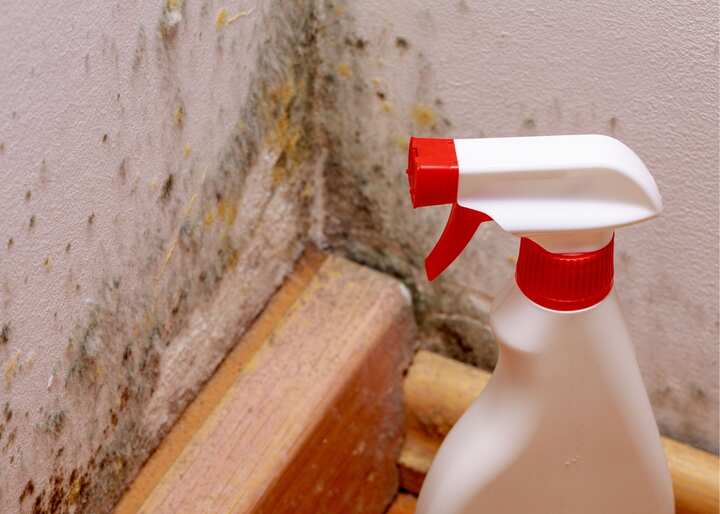 Mold Inspection San Diego