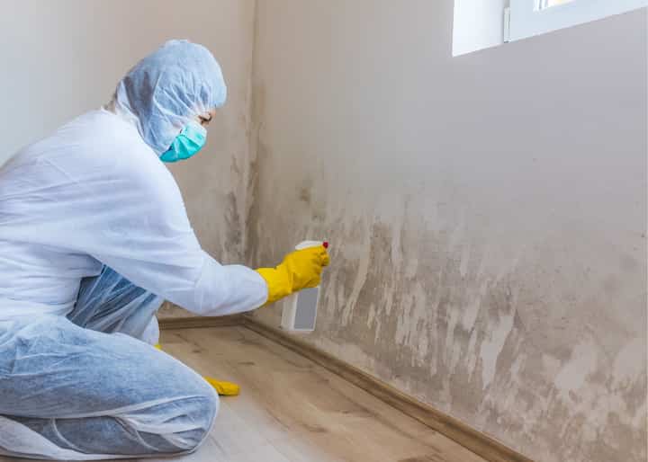 Mold Inspection San Diego