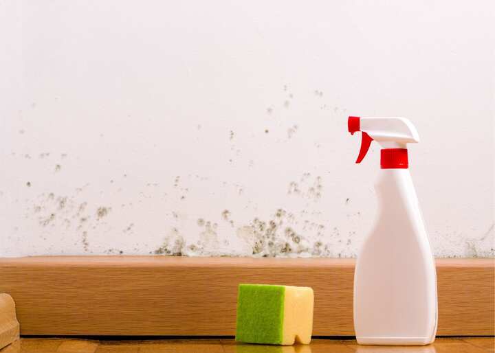 Mold Inspection San Diego