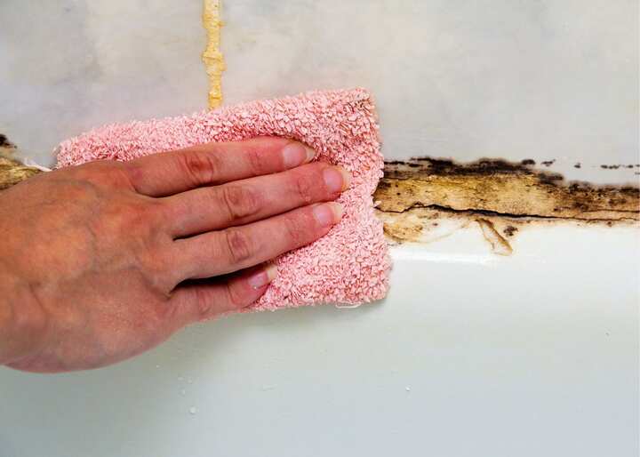 Mold Inspection San Diego