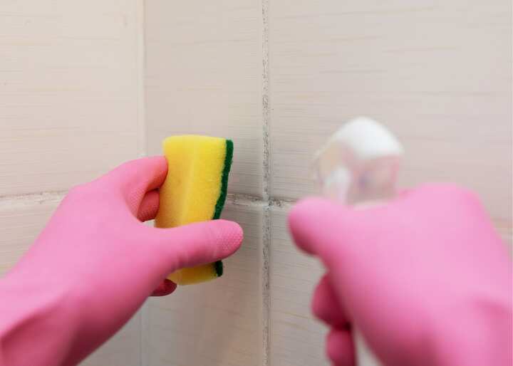 Mold Inspection San Diego